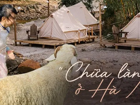 Nghỉ lễ không đi đâu, ở Hà Nội cũng vui chẳng kém: Cưỡi ngựa giữa lòng thành phố, ngắm sông Hồng trên du thuyền hạng sang... cả gia đình không lo "rảnh"!