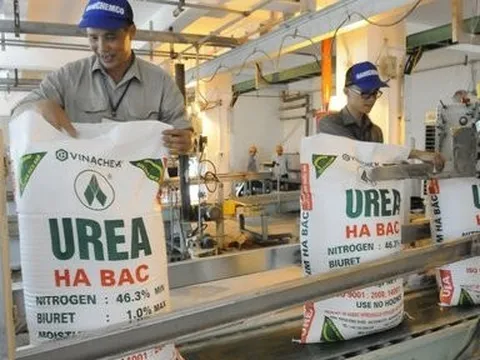 Đạm Hà Bắc tiếp tục được xoá hơn 140 tỷ đồng lãi vay trong quý I/2024