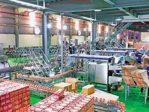 Nợ vay tăng mạnh trong quý đầu năm, Sữa Quốc tế kinh doanh ra sao?