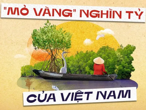 Một kho báu của TP.HCM sẽ thu ròng 1.500 tỷ mỗi năm? Chuyên gia: Phải đo lường lỗ hay lãi đã!