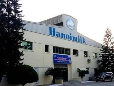 Hanoimilk: Tiền tăng gấp đôi vẫn không đạt nổi 10 tỷ đồng