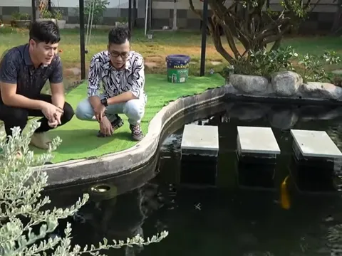 Từ Mỹ về Việt Nam, một nam ca sĩ xây biệt phủ như resort, nuôi cả công, cá Koi