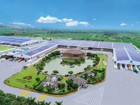 An Phát Holdings báo lãi kỷ lục từ khi niêm yết