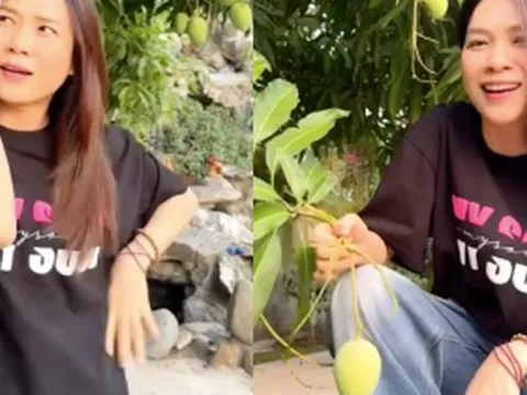 Mỹ Tâm flex điều "độc nhất vô nhị" bên trong khu nhà sân vườn từng lộ hint thả diều với Mai Tài Phến