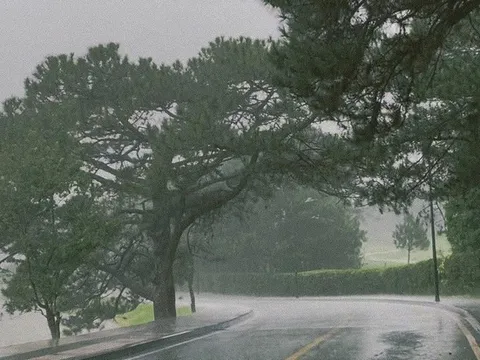 Đà Lạt mát lạnh sau mưa, du khách lôi áo khoác ra mặc còn dân mạng khắp nơi thi nhau "xin vía"