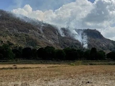 An Giang: Phân công lực lượng ứng trực 24/24 giờ phòng chống cháy rừng