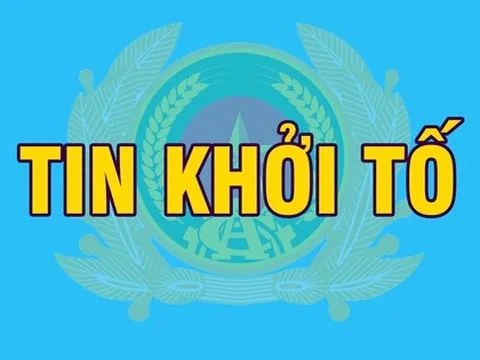 Khởi tố một loạt giám đốc, kế toán