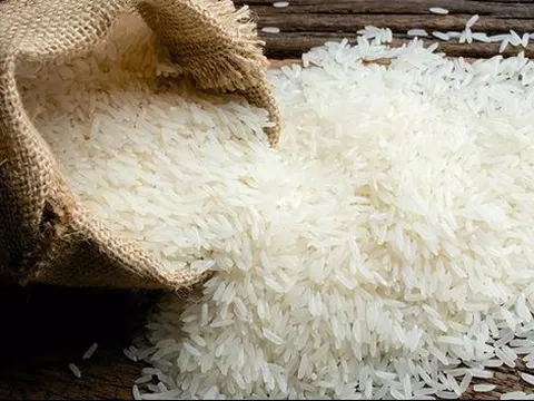 Thị trường gạo thế giới có thể lại nóng lên vào quý 3 vì lý do này