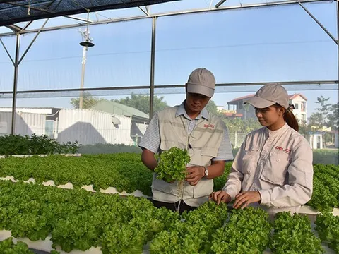 Quốc gia có GDP/người cao gấp 14 lần VN là nước nhận đầu tư nhiều nhất từ VN trong 4 tháng đầu năm