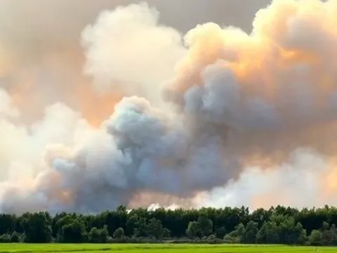 Kiên Giang: Đã khống chế được vụ cháy rừng tràm ở Giang Thành