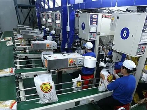 Sẽ đảm bảo nhu cầu xuất khẩu hơn 8 triệu tấn gạo