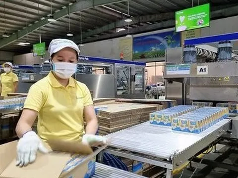 Chủ thương hiệu Vinasoy nắm giữ gần 7.300 tỷ đồng tiền mặt, có cả vàng và USD