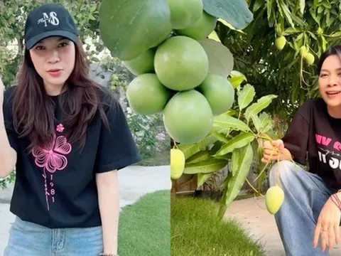 Mỹ Tâm khiến dân mạng "mắt tròn mắt dẹt" khi "flex" khu vườn siêu trái: Cây táo 2000 trái mọc như nho, xoài mọc sà xuống tận sát mặt đất
