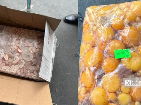 Gần 8 tấn nội tạng động vật không rõ nguồn gốc bị phát hiện