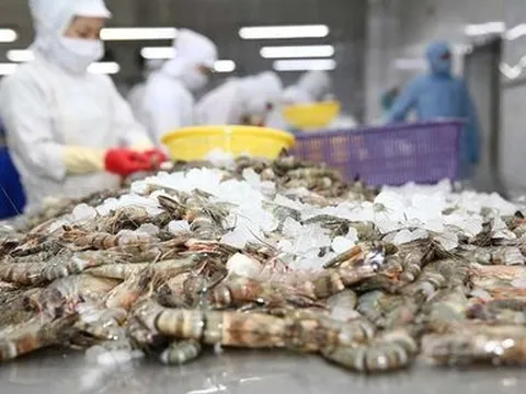 Sao Ta: Sản lượng tiêu thụ tôm tăng, nông sản giảm trong tháng 4/2024