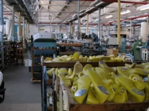 150 quốc gia đua nhau 'chốt đơn' một mặt hàng của Việt Nam: Thu gần 5 tỷ USD từ đầu năm, Trung Quốc ra sức mua hàng dù ‘của nhà trồng được’ nhiều bạt ngàn