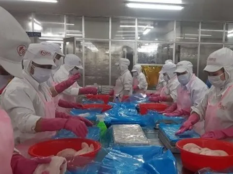 Doanh nghiệp phục hồi, kim ngạch xuất khẩu của Tiền Giang đạt hơn 1,8 tỷ USD