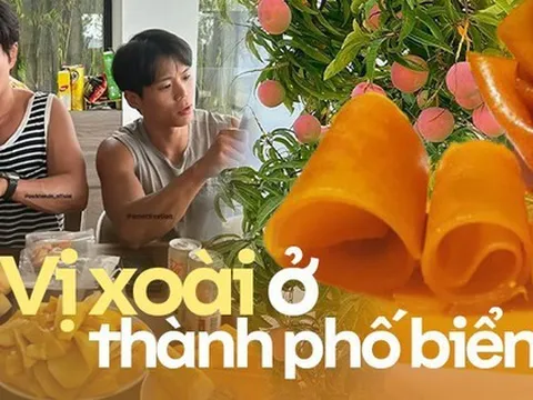 Du lịch Nha Trang phải trải nghiệm vườn xoài "đào tiên" và ăn bánh xoài: Chẳng trách Park Hae Jin cùng hội bạn "xử" hết 25kg loại quả này tại thành phố biển
