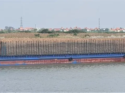 Vụ trục lợi hoàn thuế 'khủng': Lãnh đạo doanh nghiệp lĩnh án, cán bộ thuế 'thoát' trách nhiệm