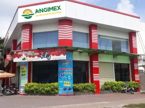 Angimex bán Nhà máy chế biến lúa gạo Bình Thành