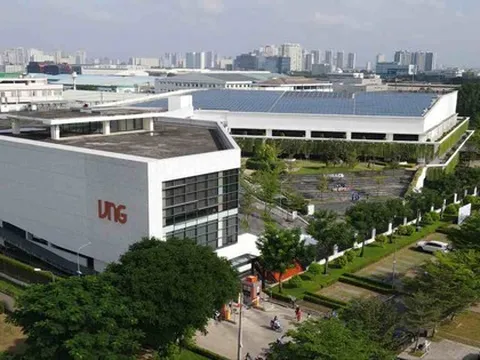 Doanh nghiệp đua nhau báo lỗ