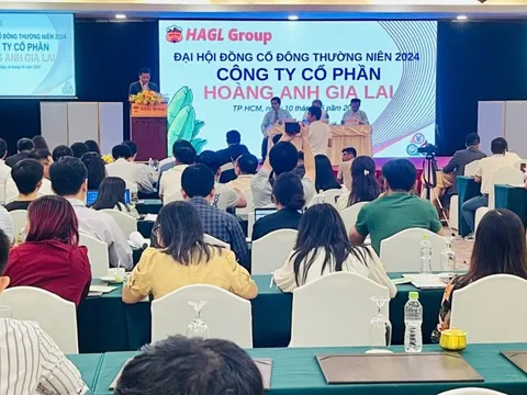 Bầu Đức: Lỗ luỹ kế là nỗi ám ảnh của tôi, sẽ làm mọi cách để xoá hết trong năm nay, lên kế hoạch IPO một công ty từng bị coi là 'vứt đi'