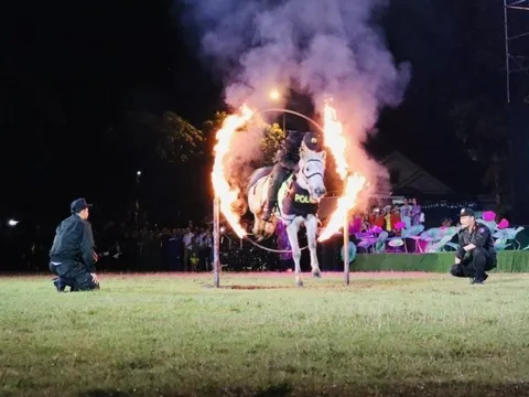 Thót tim xem chiến sĩ kỵ binh điều khiển ngựa lao qua vòng lửa