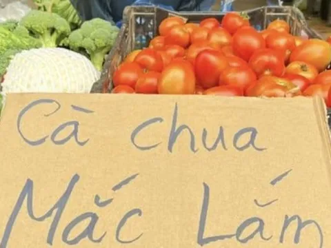 Giá cà chua tăng cao đột biến