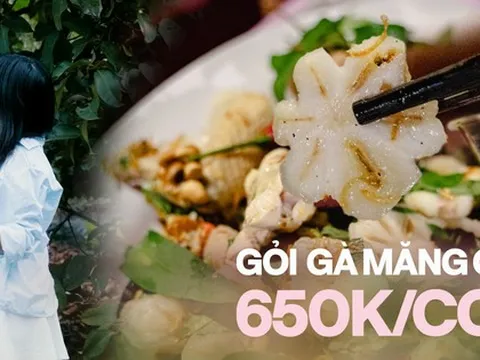 Trải nghiệm đến "xứ sở măng cụt" Lái Thiêu thăm vườn trái cây và ăn gỏi gà nức tiếng: Giá 650.000VNĐ/con liệu có thực sự đáng tiền?