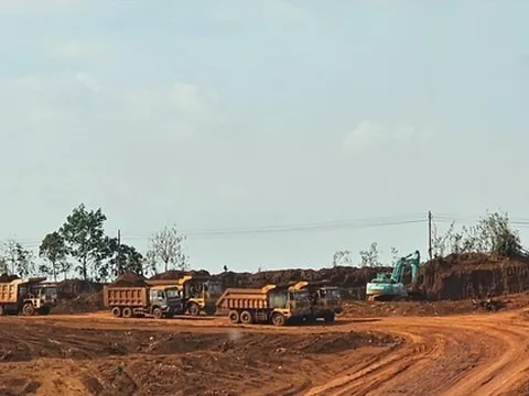 Kẹt giữa kho báu bô xít - kỳ 1: Nằm trên 'mỏ vàng' lớn nhất nước