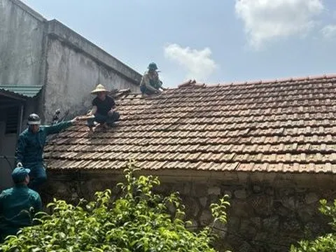 Quảng Ninh: Khắc phục sự cố dông lốc làm hơn 70 ngôi nhà bị tốc mái