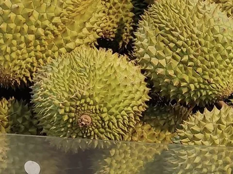 Livestream bán sầu riêng 20 phút được 1,2 tỉ đồng và kết cục bất ngờ