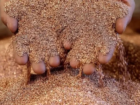 Sau vàng, thêm một mặt hàng bước vào chu kỳ bão giá: Nguồn cung liên tục thiếu hụt, Trung Quốc săn mua 1 nửa của thế giới