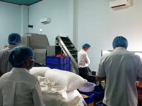 Hàng chục khách du lịch nghi ngộ độc thực phẩm: Bình Thuận chỉ đạo khẩn