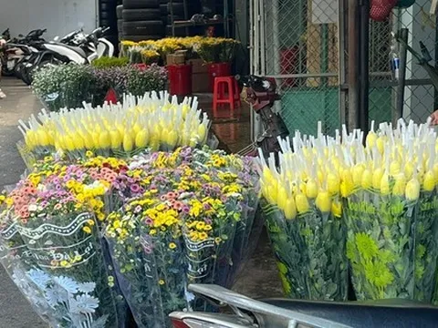 Giá hoa cúc tăng cao