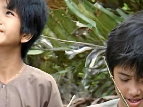 Dàn diễn viên Đất Phương Nam ngày ấy, bây giờ