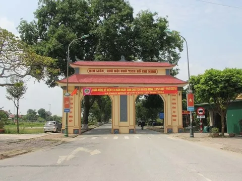 Chiêm ngưỡng hàng cây xà cừ cổ thụ trên quê hương Bác