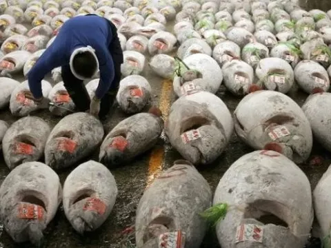 Một mặt hàng của Việt Nam được người Nga mạnh tay săn lùng: Ưu đãi thuế xuất khẩu 0%, 80 quốc gia khác cũng đua nhau 'chốt đơn'