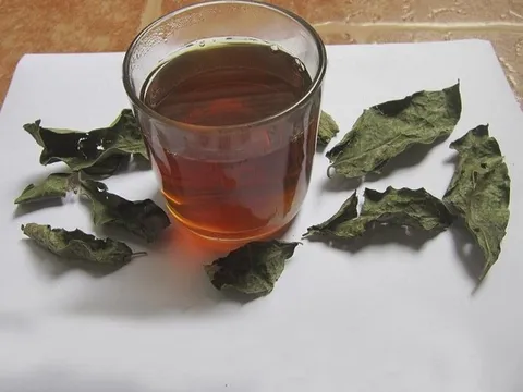 Uống nước xạ đen thường xuyên có thực sự tốt cho sức khỏe?