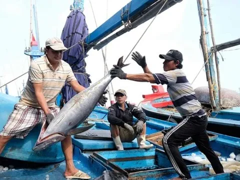 Thông tin quan trọng việc Việt Nam gỡ 'thẻ vàng' thủy sản