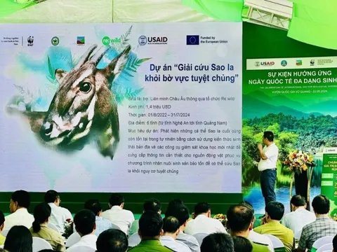 Sống có trách nhiệm với động vật hoang dã