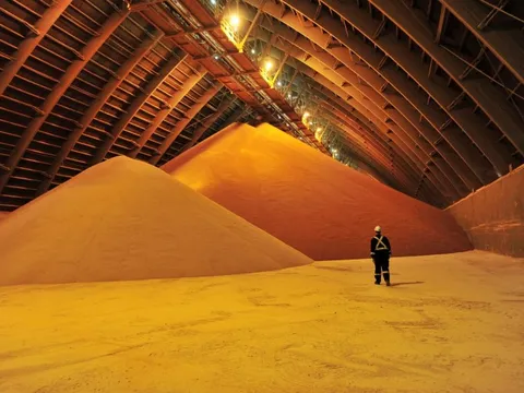 Bị hạn chế xuất khẩu, một kho báu của Nga vẫn liên tục đổ bộ vào Việt Nam với giá siêu rẻ: nhập khẩu tăng gấp 10 lần, là "cứu tinh" cho nông sản Việt