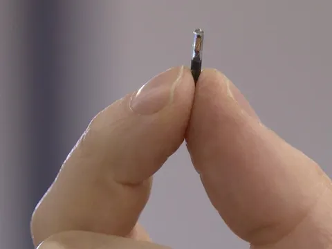 'Kho báu' trên đất liền, 4 tháng thu 21 tỷ USD, được EU, Mỹ săn đón nhiệt tình