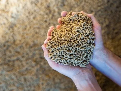 2 cường quốc của thế giới đều “tranh giành” mặt hàng này của Việt Nam: Trung Quốc có bao nhiêu mua bấy nhiêu, thu về hơn 300 triệu USD trong 4 tháng