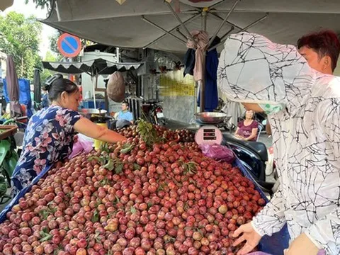 Mận hậu đổ bộ Sài thành, 'giá nào cũng có'