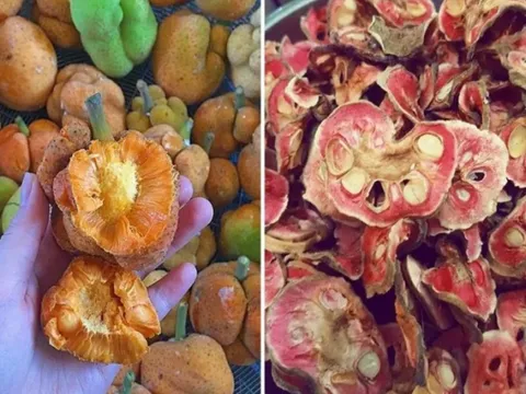 Giá nông sản hôm nay 26/5: Giá ớt khởi sắc, cao su tăng mạnh, quả chay khô hút hàng