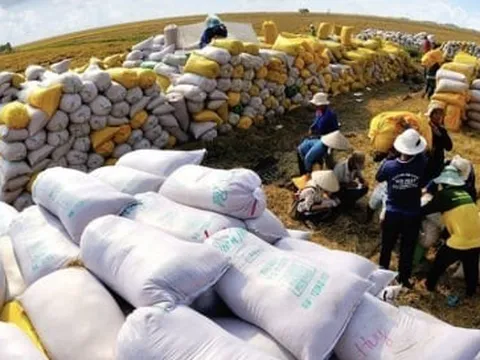 Thế giới thiếu 7 triệu tấn gạo: Kỳ tích xuất khẩu gạo Việt Nam sẽ lặp lại?