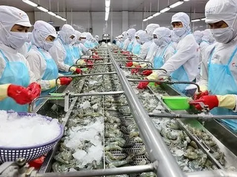 VASEP: Nhu cầu tiêu thụ tôm vẫn chưa thể hiện rõ khả năng phục hồi