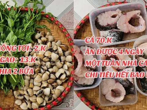 1 tuần đi chợ cho gia đình 4 người hết 264k ở Thái Bình: Giá ở nông thôn rẻ hay người nội trợ biết chi tiêu?