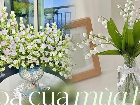 Loài hoa cắm bền nhất vào mùa hè, không sợ nóng mà còn chuộng tắm nước sôi